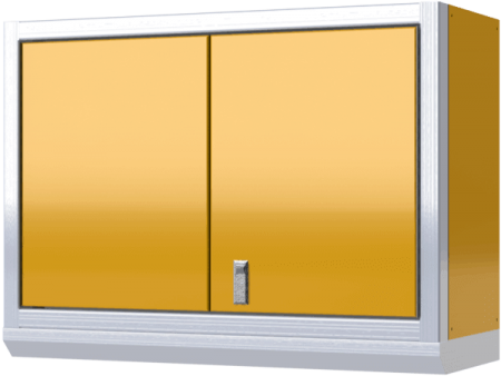 Pro II Component Wall Cabinet Double Door